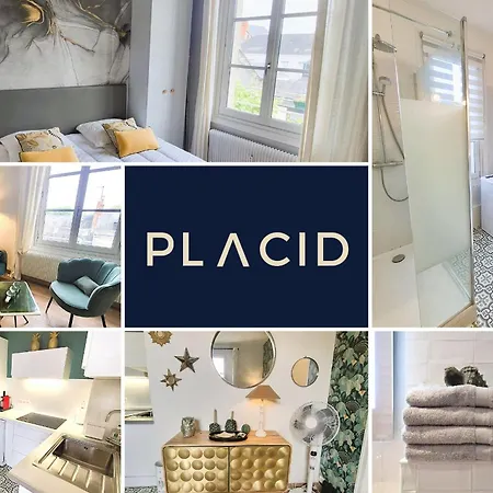 L'ecrin Des Halles, Elegant T2, Hyper-centre & Vieux-tours Apartment *